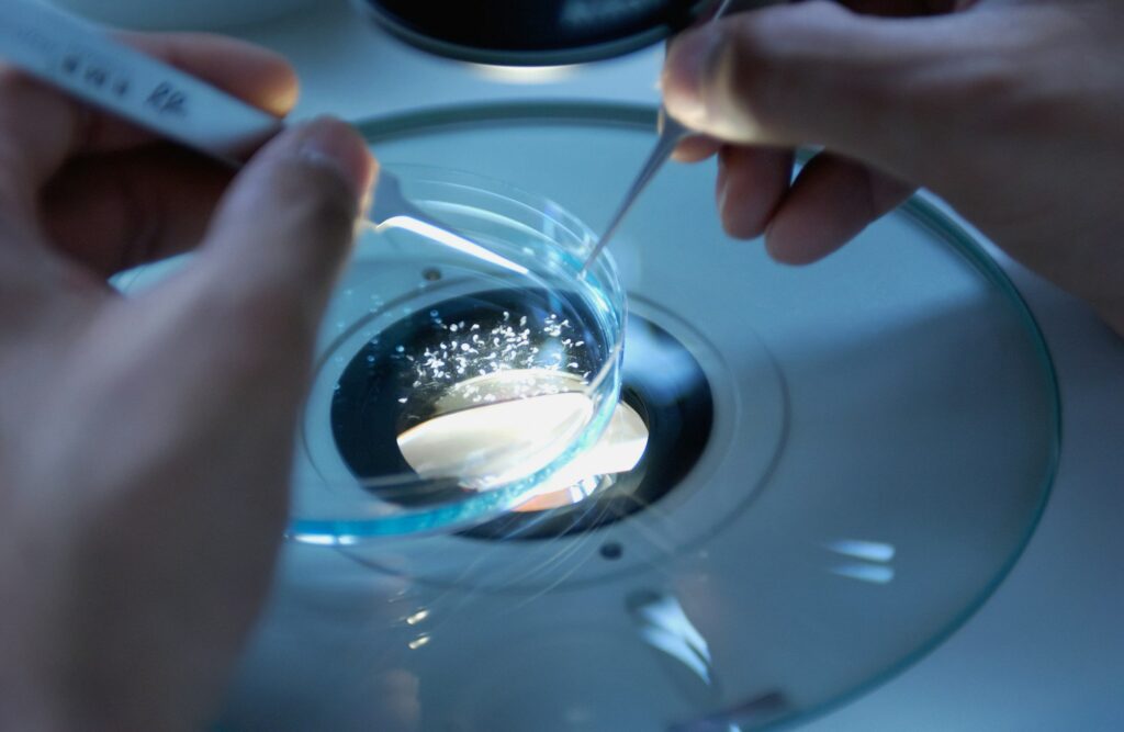Govt must lift R&D game: BCA cover