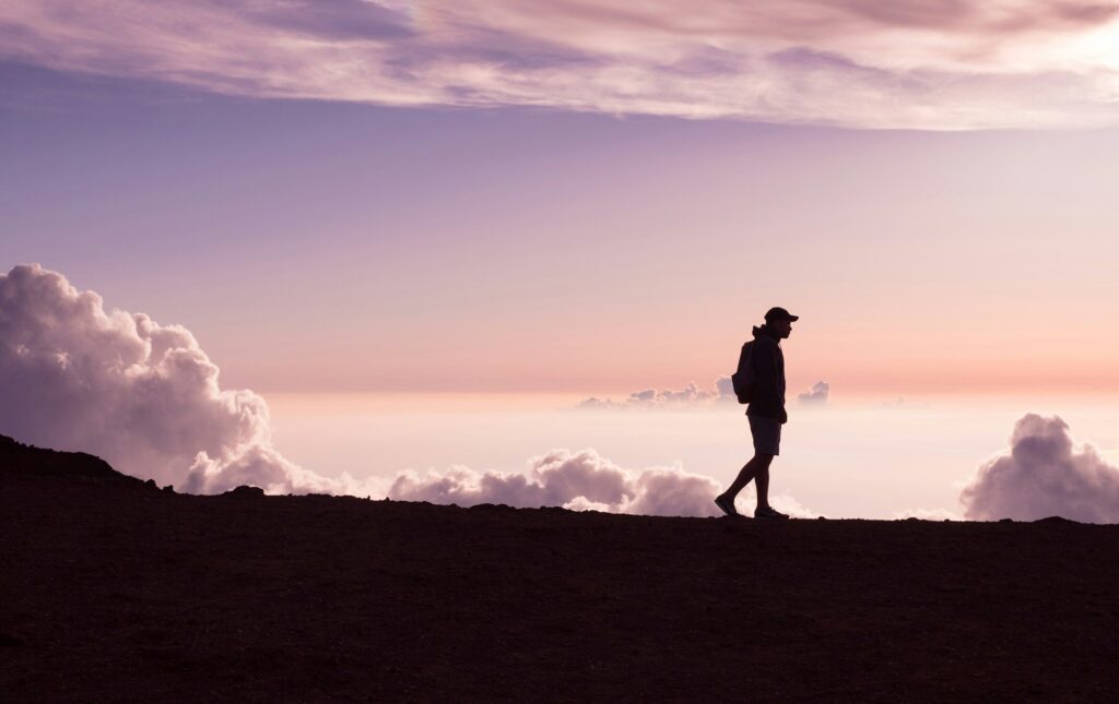 Walking the Talk: Truth-Telling and a new approach to Indigenous engagement cover