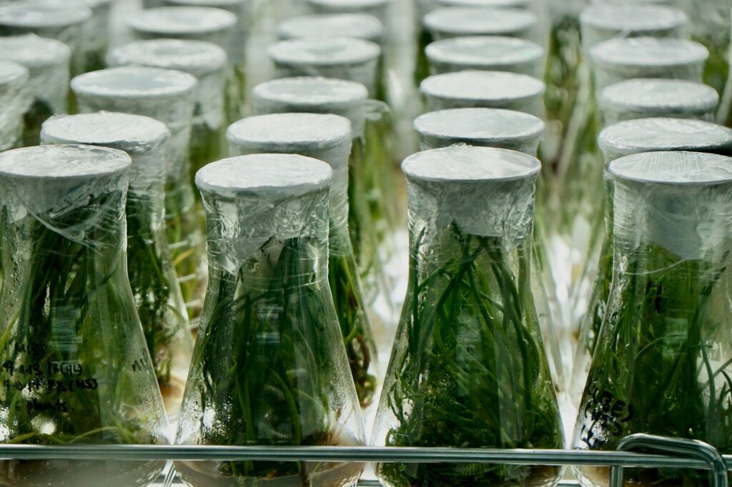 UA cooks up recipe for HE Productivity cover