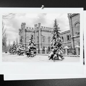 Reslience Whilst Reimagining a University Without Walls