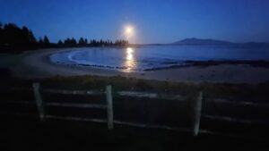 Lessons from the Deep End cover