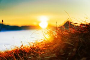 The Summer That Was cover