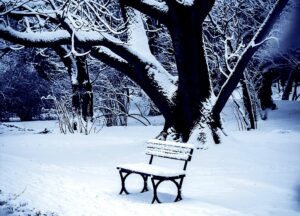 a park bench covered in snow next to a tree