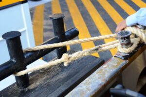 Budget constraints place national research capacity at risk cover