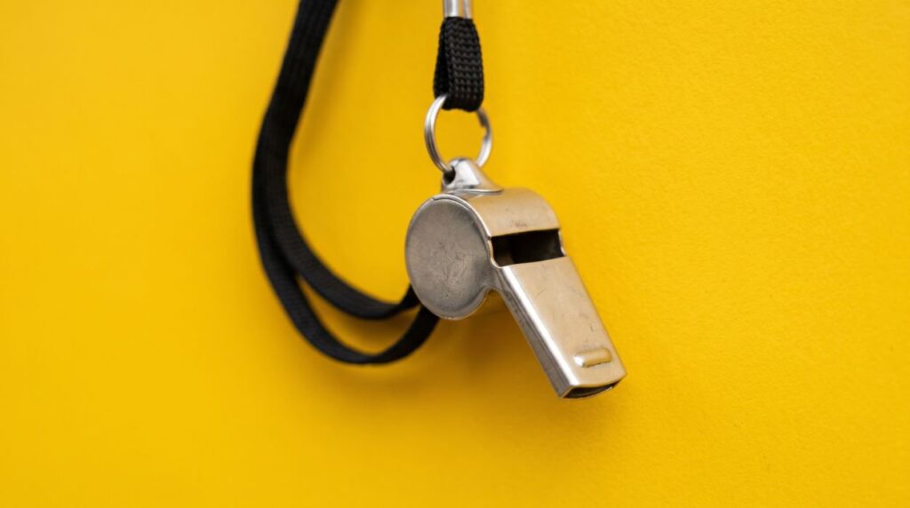 A Bounty On Research Fraudsters cover