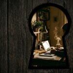 I Spy With My Little … ARC Grant