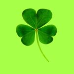 Dear Jason: Wishing You Luck for a Big Weekend