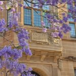Sydney U Rejects Convocation and Condemns Intifada Ticket