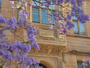 a building with purple flowers on the outside of it