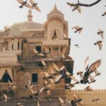 Why Australian VET Has Not Worked in India