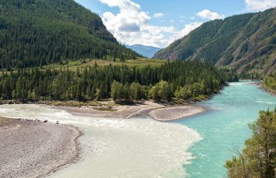 When Predictability Meets Disruption cover