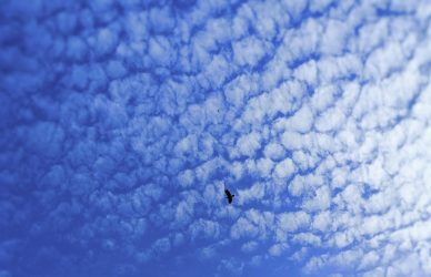 Cloud Control for Blue Sky Research cover