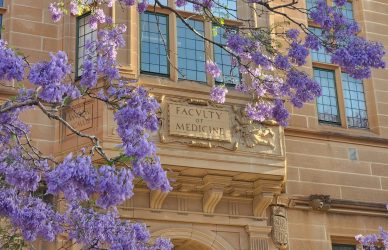 a building with purple flowers on the outside of it