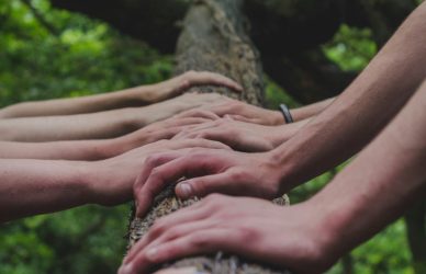a group of people holding hands on top of a tree