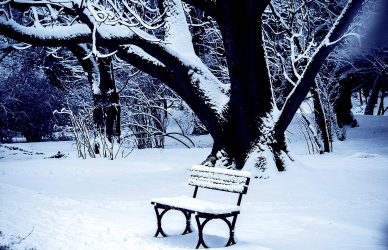 a park bench covered in snow next to a tree