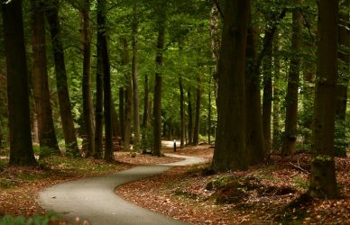 From Compass to Map: TEQSA charts new Pathways for Assessment in the AI ERA cover