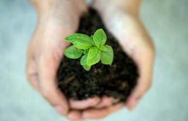 Four years of Impact cover