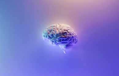 From Critical to Creative: Reimagining Thinking in HE cover