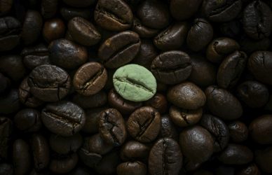 National Identity Indicator of HE challenges for International Students cover