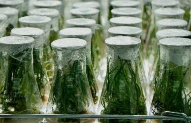 UA cooks up recipe for HE Productivity cover