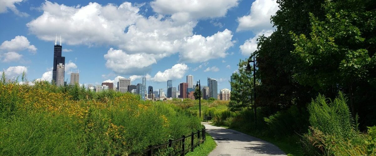 luke-MC4dZ6PdztQ-unsplash