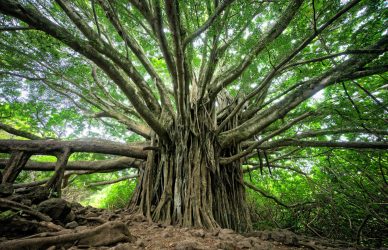 Pride Cometh Before An Organisational Restructure cover