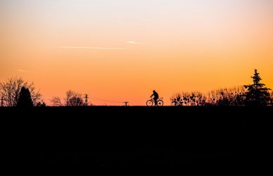 High Hanging Fruit cover