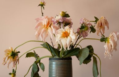 R&D Decline ‘Not in the National Interest’ cover