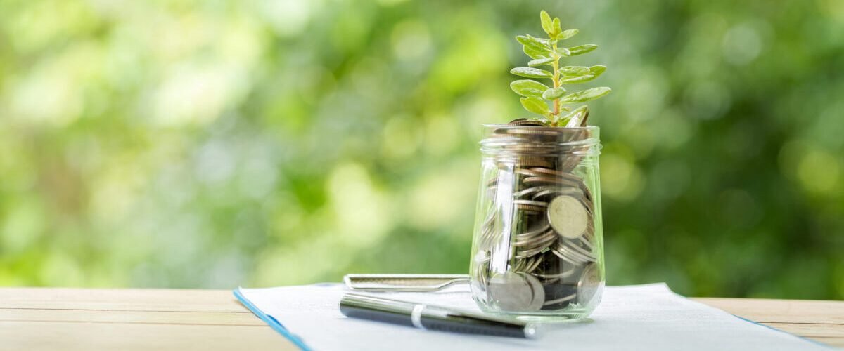 Plant growing from coins in the glass jar on blurred green natural background. copy space for business and financial growth concept.