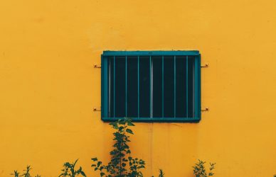 An end to opaque science writing cover