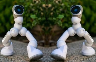 Research Grant System Teeters on the Cusp of an AI Hellscape cover