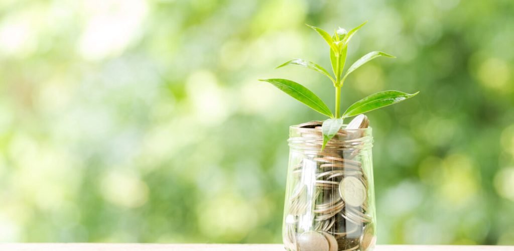 Plant growing from coins in the glass jar on blurred green natural background. copy space for business and financial growth concept.