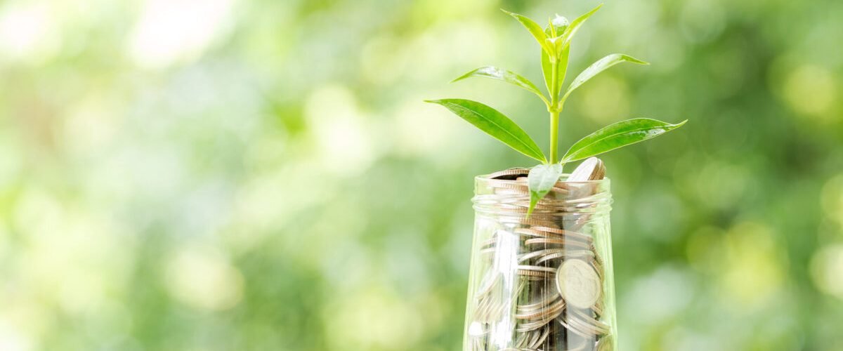 Plant growing from coins in the glass jar on blurred green natural background. copy space for business and financial growth concept.