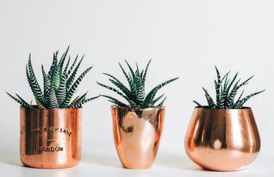 Credit only where credit’s due cover