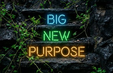 Appointments & Achievements cover