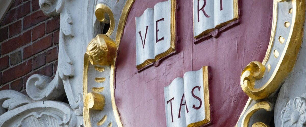 xiangkun-zhu-mkN4NFftQRY-unsplash